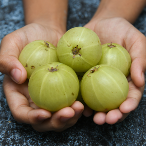 Amla