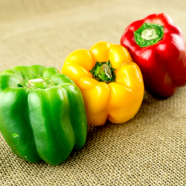 Capsicum