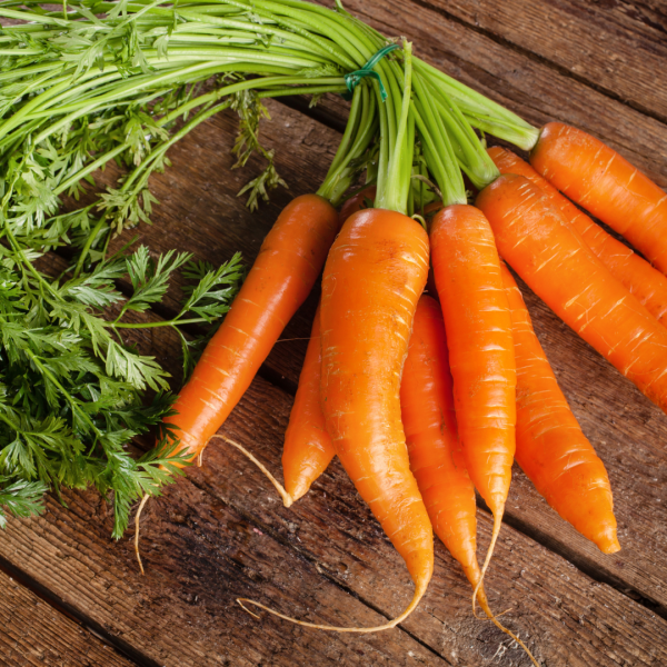 Carrot