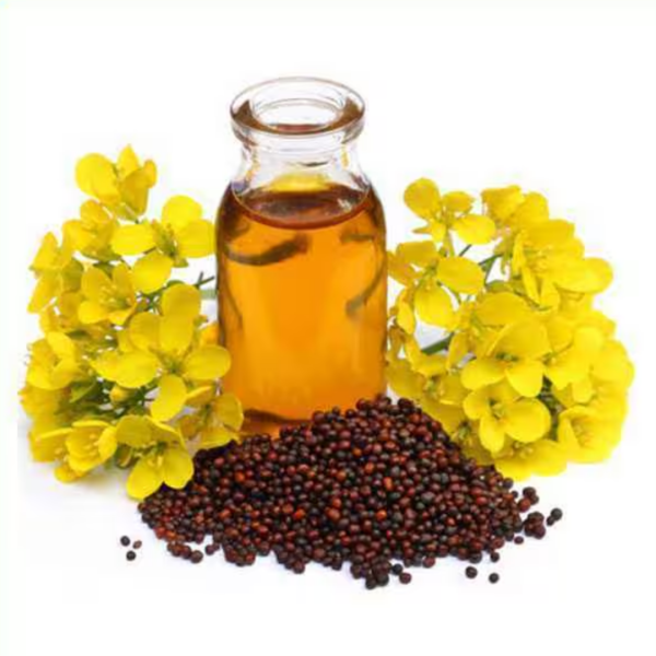 Refined Mustared oil
